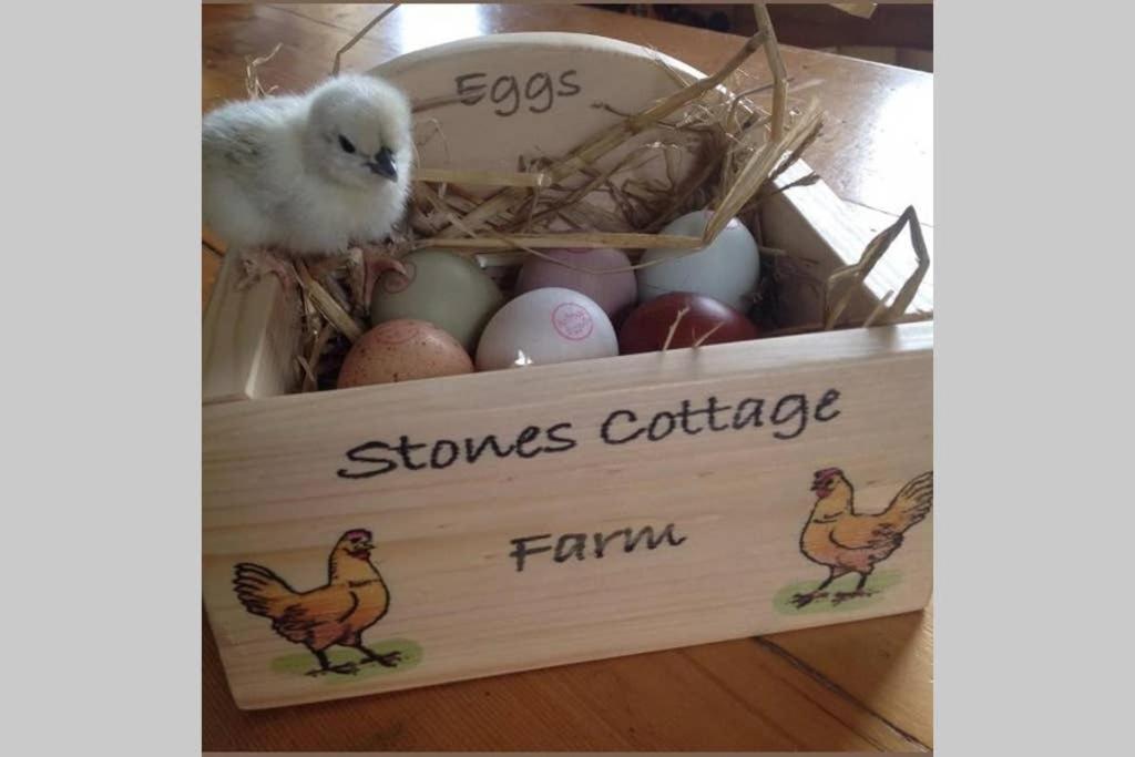 Stones Cottage Farm, Nr Haworth, Family Friendly, Work Friendly, Gaming Barn, Crafting, Free Wifi, Free Parking, Ev Point Oxenhope Kültér fotó